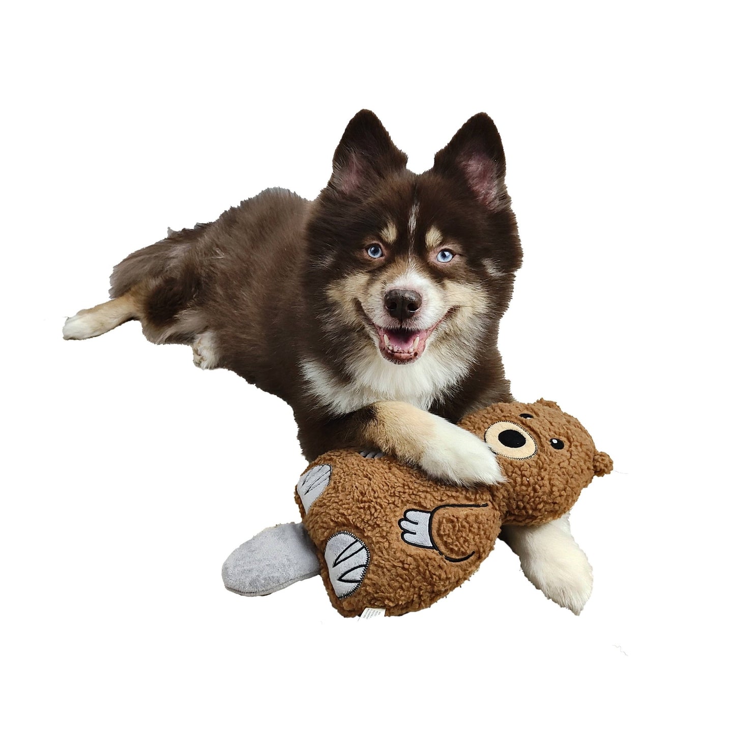 Theo the Beaver Wildlife Fleece Plush Dog Toy - Happy Hounds Pet Supply