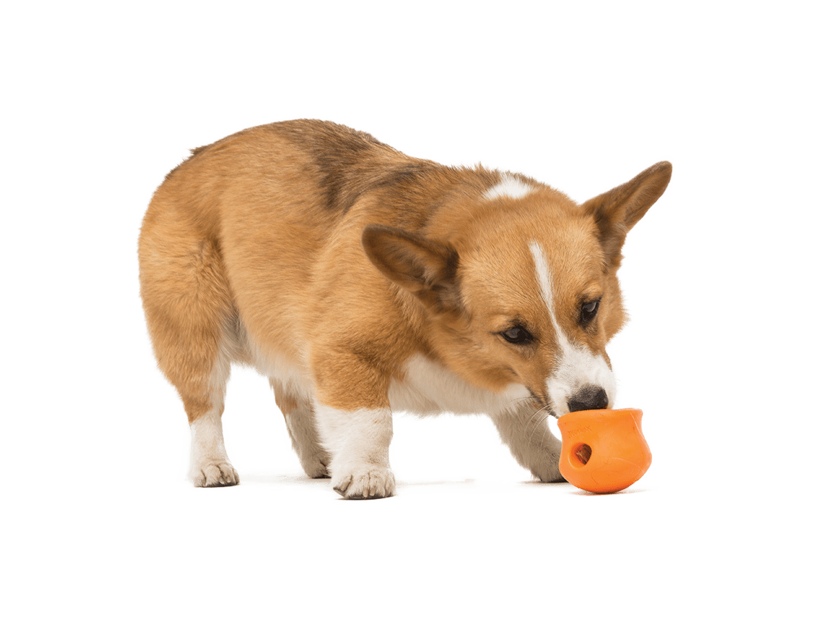 Toppl® Puzzle Treat - Dispensing Slow Feeder Dog Toy - Happy Hounds Pet Supply