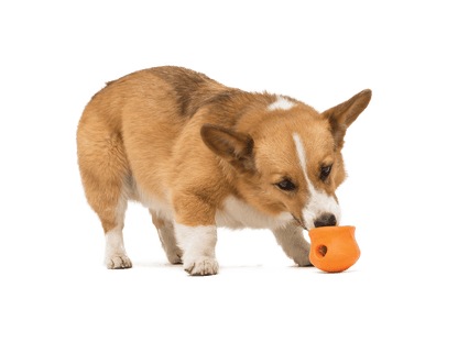 Toppl® Puzzle Treat - Dispensing Slow Feeder Dog Toy - Happy Hounds Pet Supply