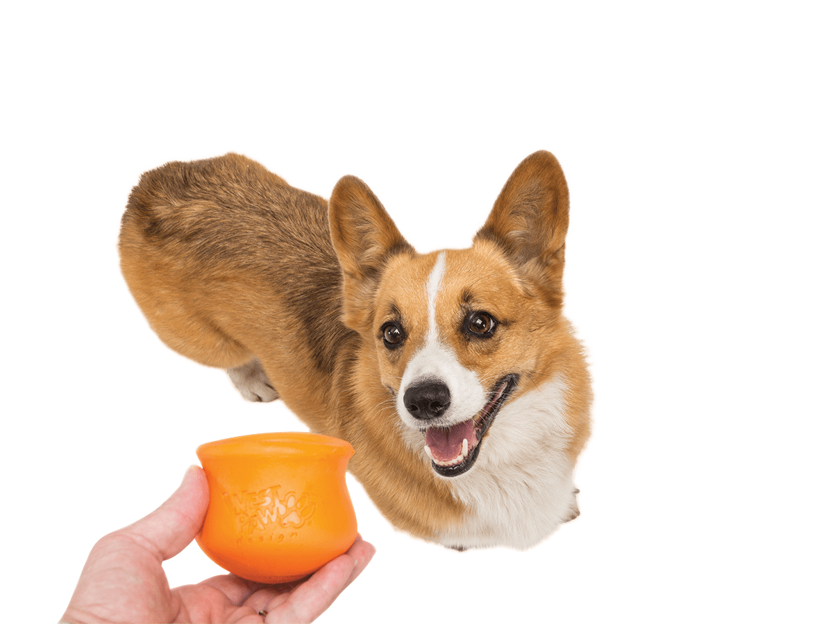 Toppl® Puzzle Treat - Dispensing Slow Feeder Dog Toy - Happy Hounds Pet Supply
