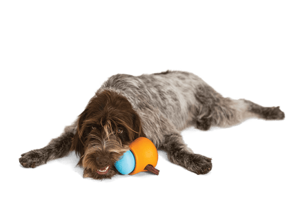 Toppl® Puzzle Treat - Dispensing Slow Feeder Dog Toy - Happy Hounds Pet Supply