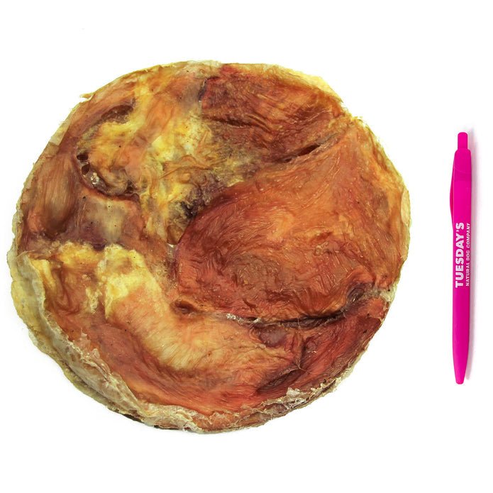 Tremenda Disc - Happy Hounds Pet Supply