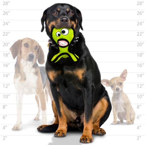 Tuffy Alien G3 - Green, Tough, Durable Dog Toy - Happy Hounds Pet Supply
