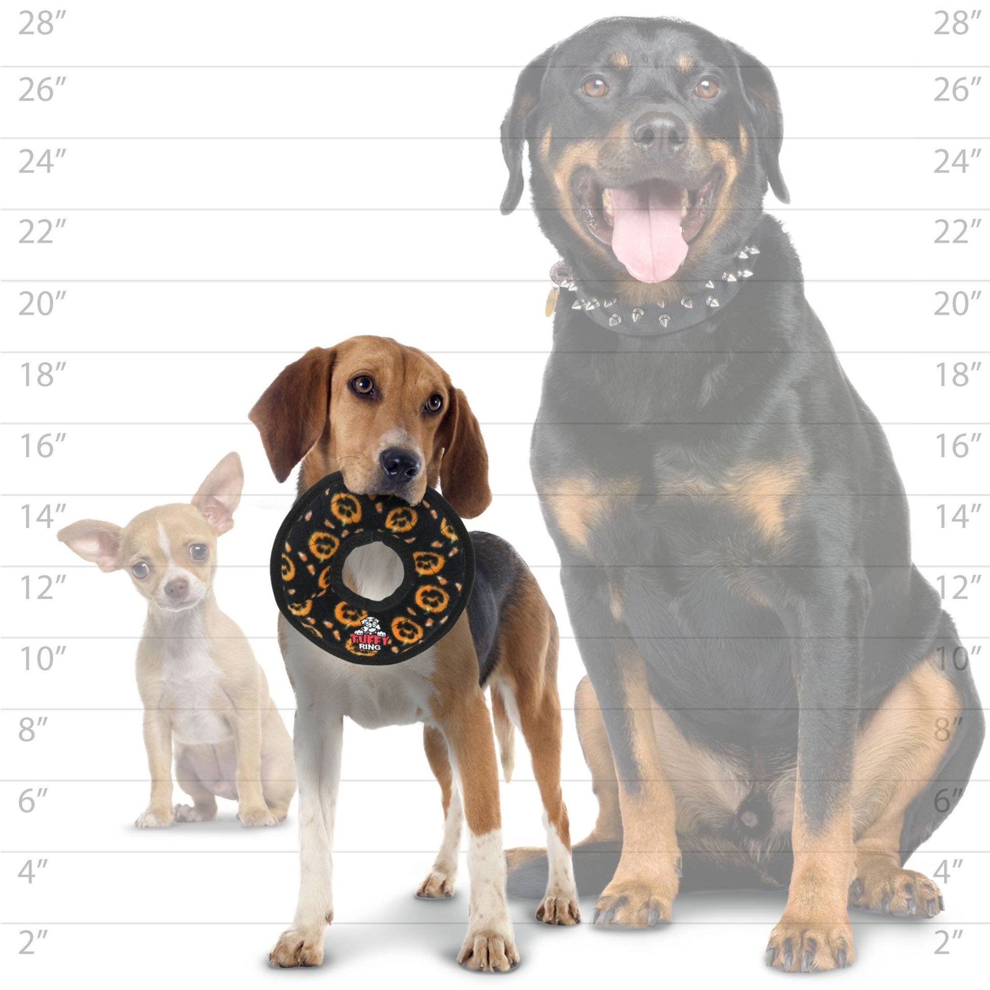 Tuffy Holiday Jr Ring Pumpkin, Durable Squeaky Dog Toy - Happy Hounds Pet Supply