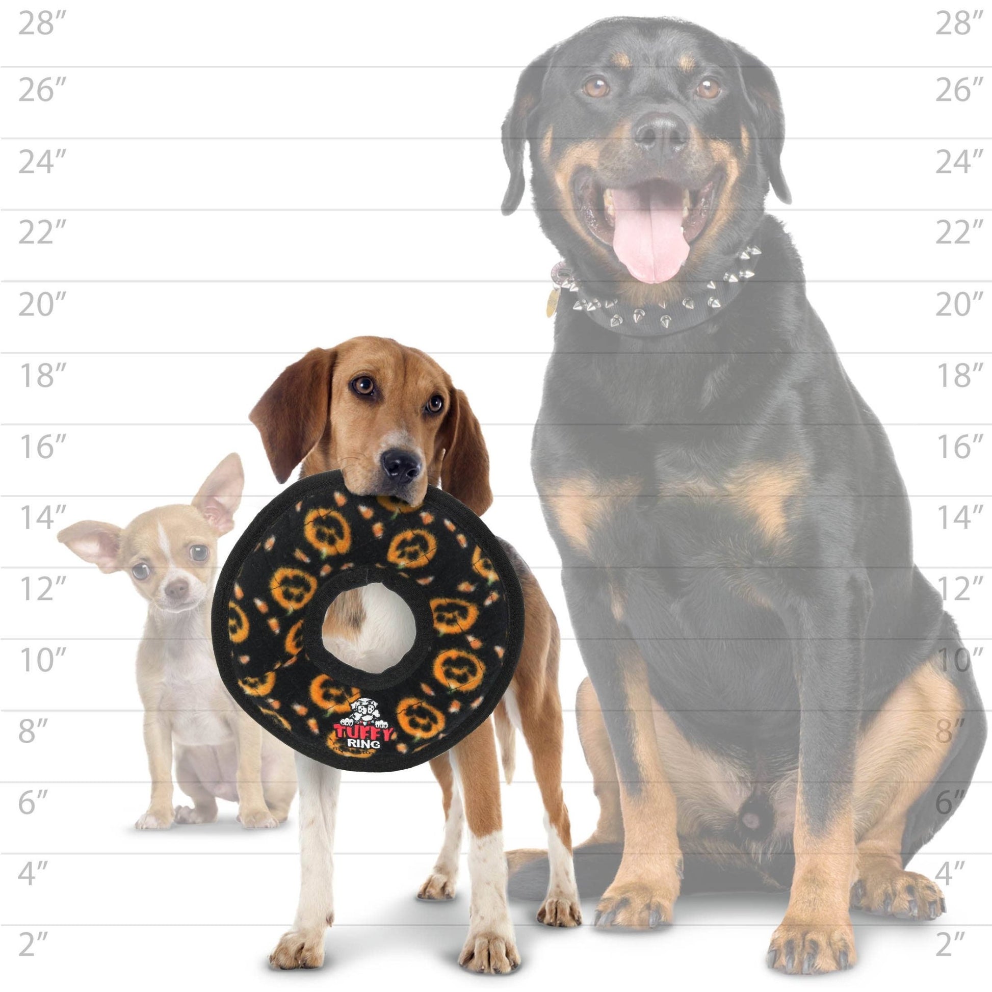 Tuffy Holiday Medium Ring Pumpkin, Durable Squeaky Dog Toy - Happy Hounds Pet Supply