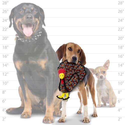 Tuffy Jr Barnyard Turkey, Durable, Tough, Squeaky Dog Toy - Happy Hounds Pet Supply