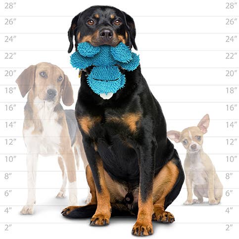 Tuffy Mighty Microfiber Monster Dog Toy - Happy Hounds Pet Supply