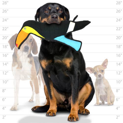 Tuffy Zoo Toucan, Tough, Durable Dog Toy - Happy Hounds Pet Supply