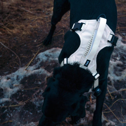 TUG Grab Harness - Happy Hounds Pet Supply