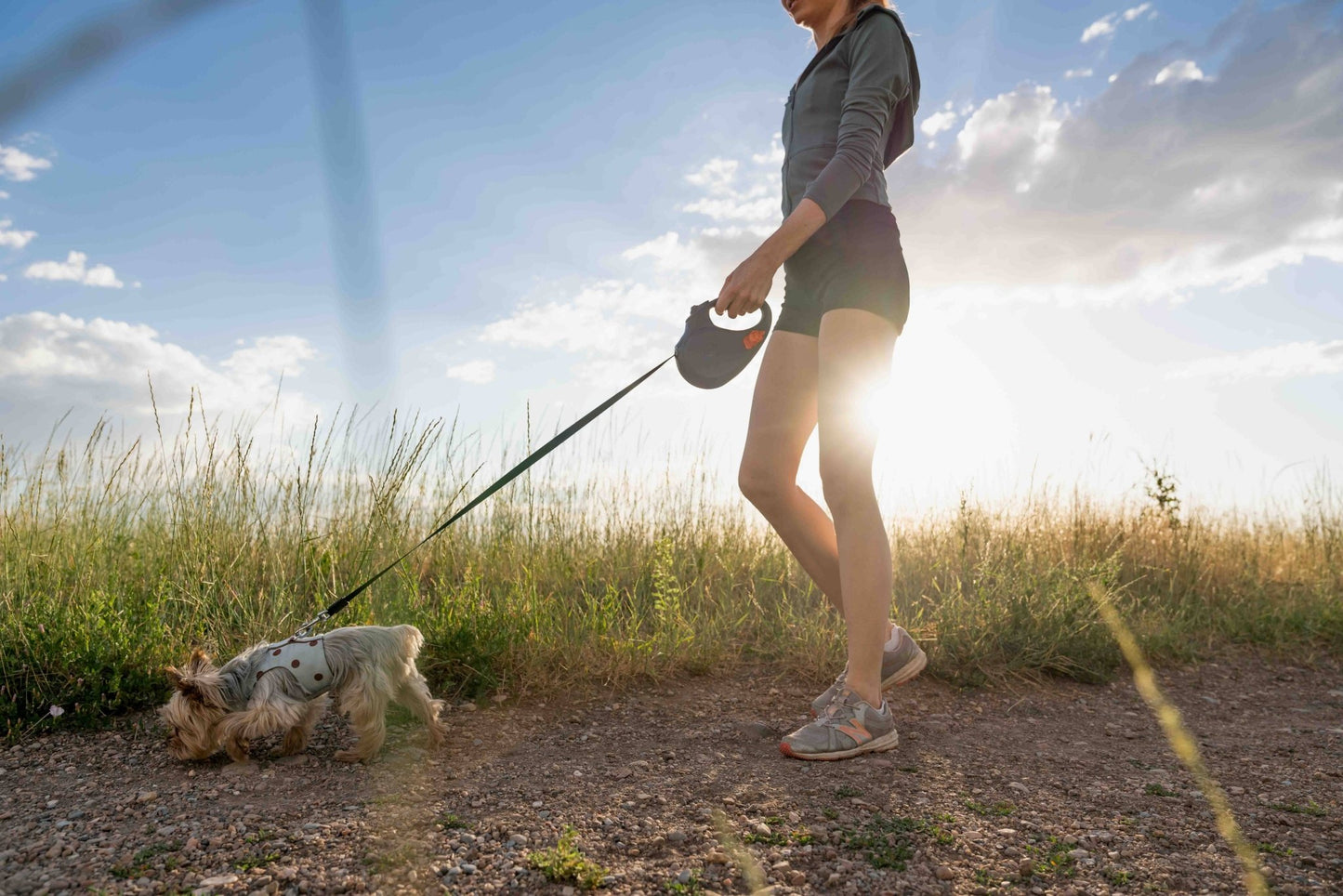 TUG Retractable Dog Leash with Integrated Dispenser - Happy Hounds Pet Supply