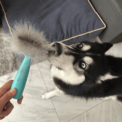 Uproot Cleaner Deshedder - Happy Hounds Pet Supply