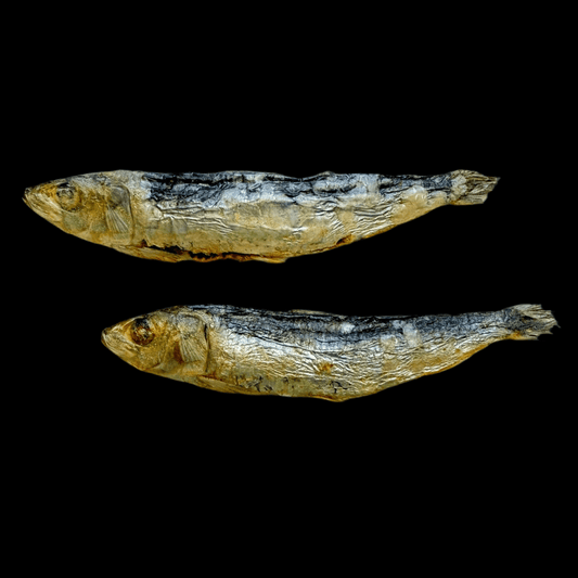 Whole Dehydrated Sardine - Happy Hounds Pet Supply