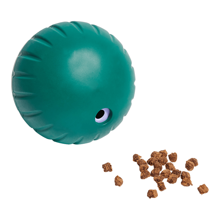 Woof Forager Walkabout - Happy Hounds Pet Supply