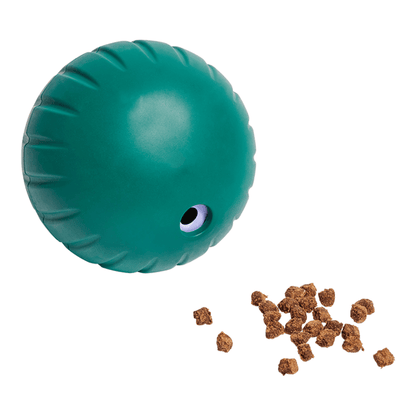 Woof Forager Walkabout - Happy Hounds Pet Supply