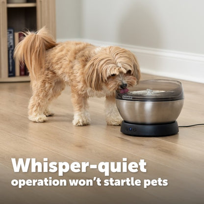 PetSafe HydroSphere 60oz Stainless Steel Pet Fountain