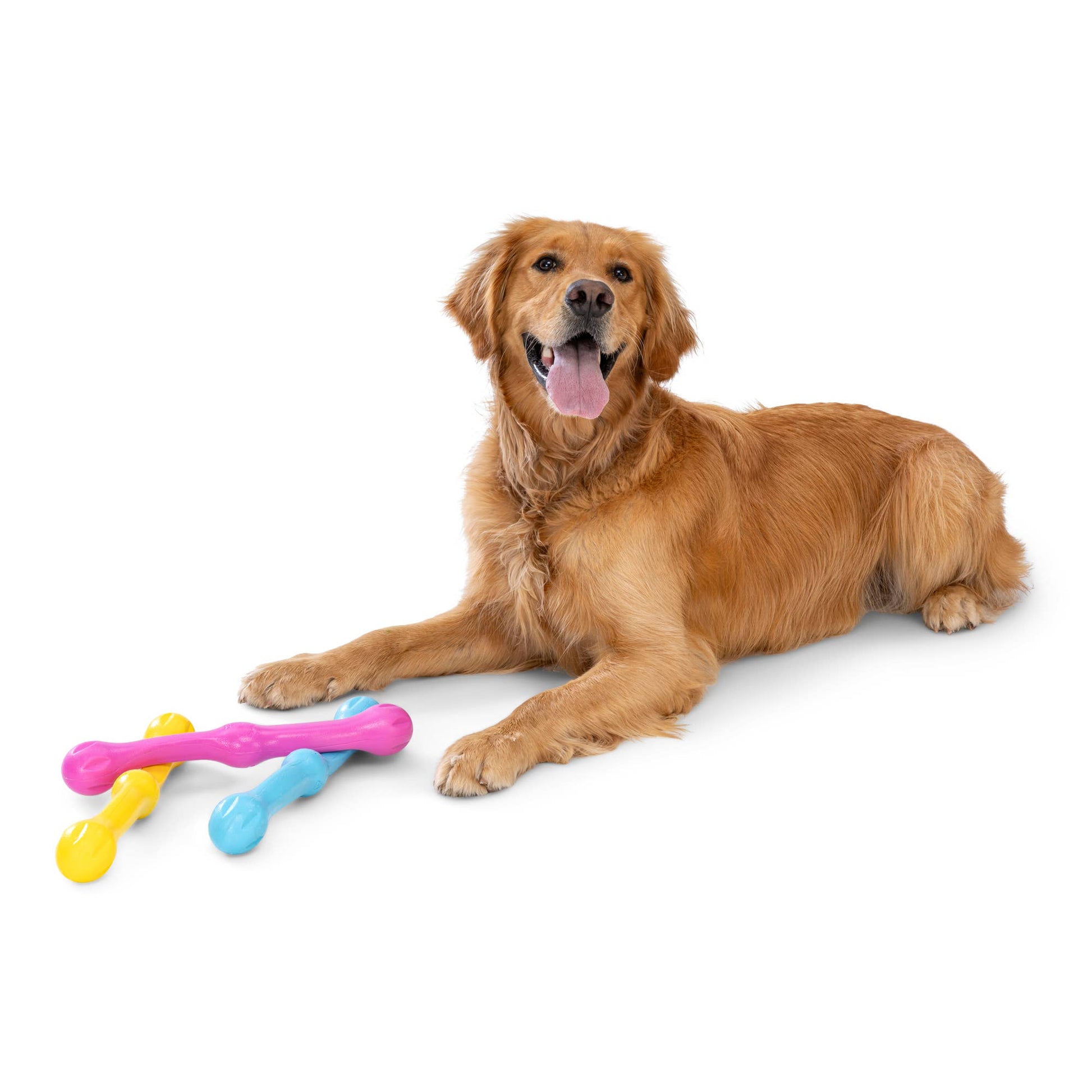 Zwig® Super Flexible Fetch and Tug Dog Toy - Happy Hounds Pet Supply
