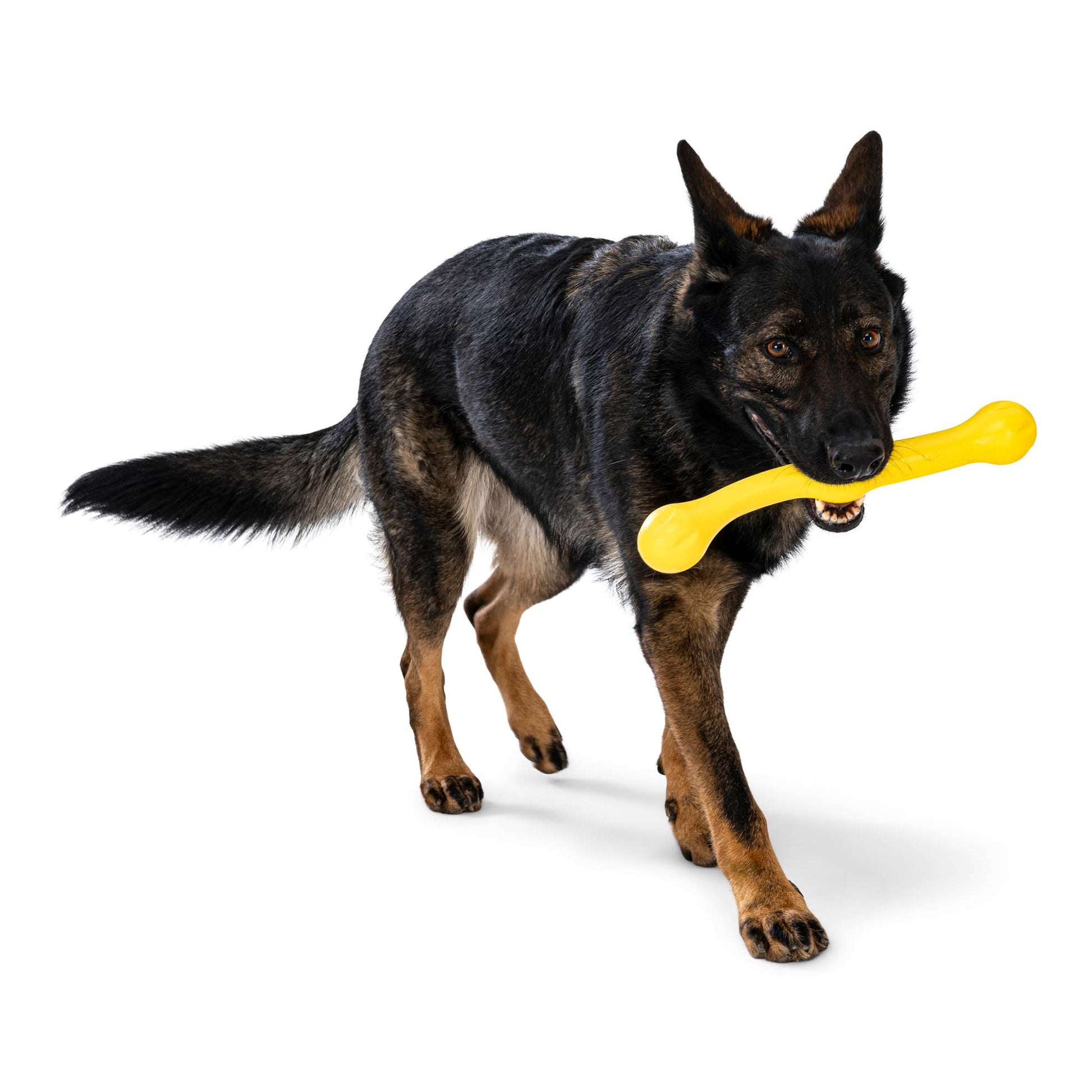 Zwig® Super Flexible Fetch and Tug Dog Toy - Happy Hounds Pet Supply