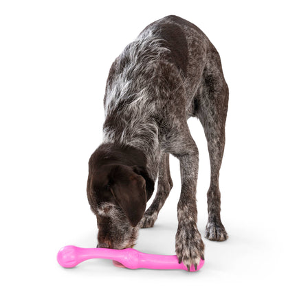 Zwig® Super Flexible Fetch and Tug Dog Toy - Happy Hounds Pet Supply
