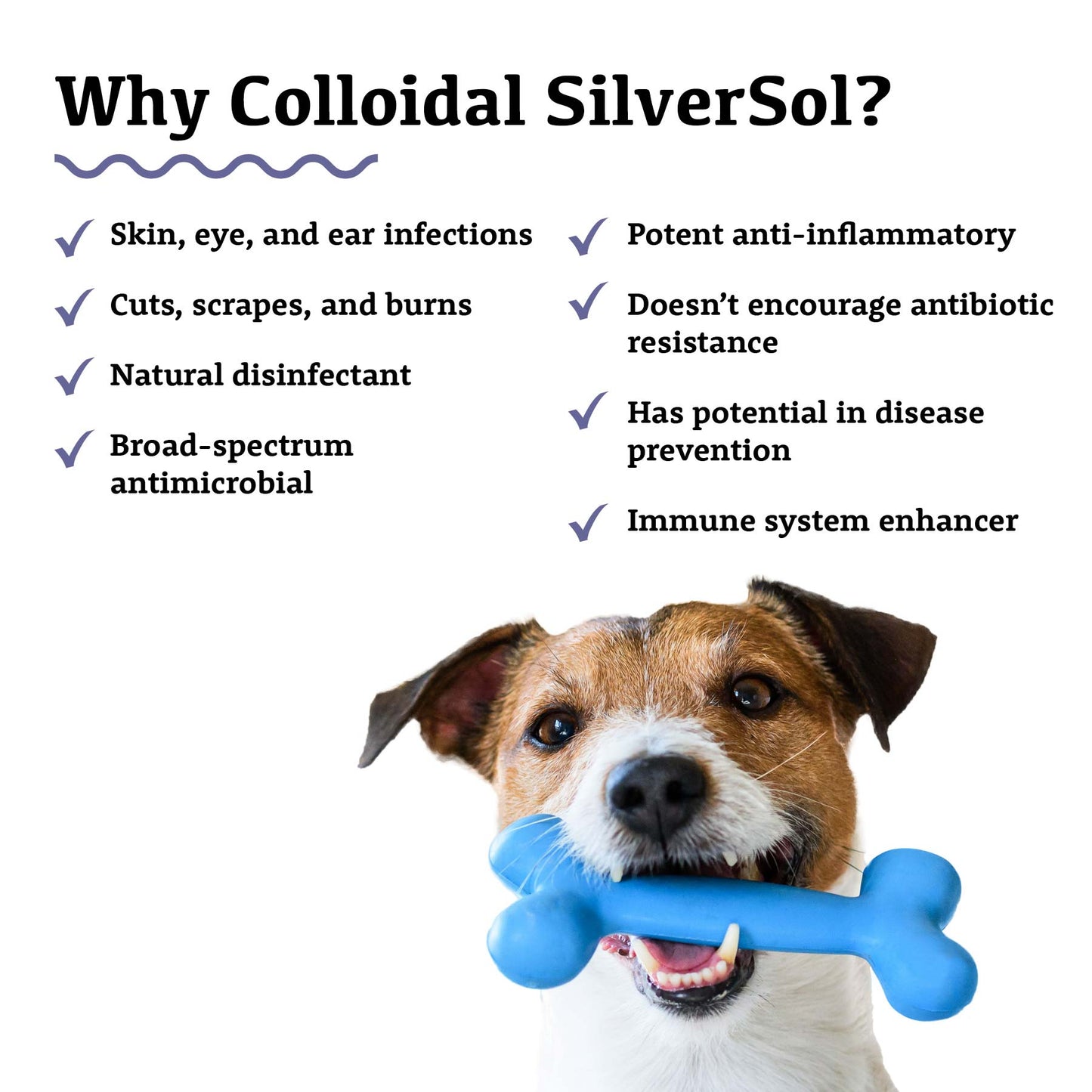 Adored Beast Colloidal Silversol