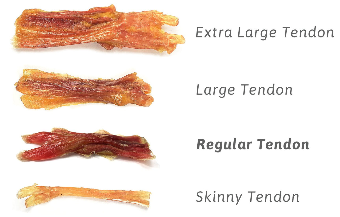 Beef Tendon -Large