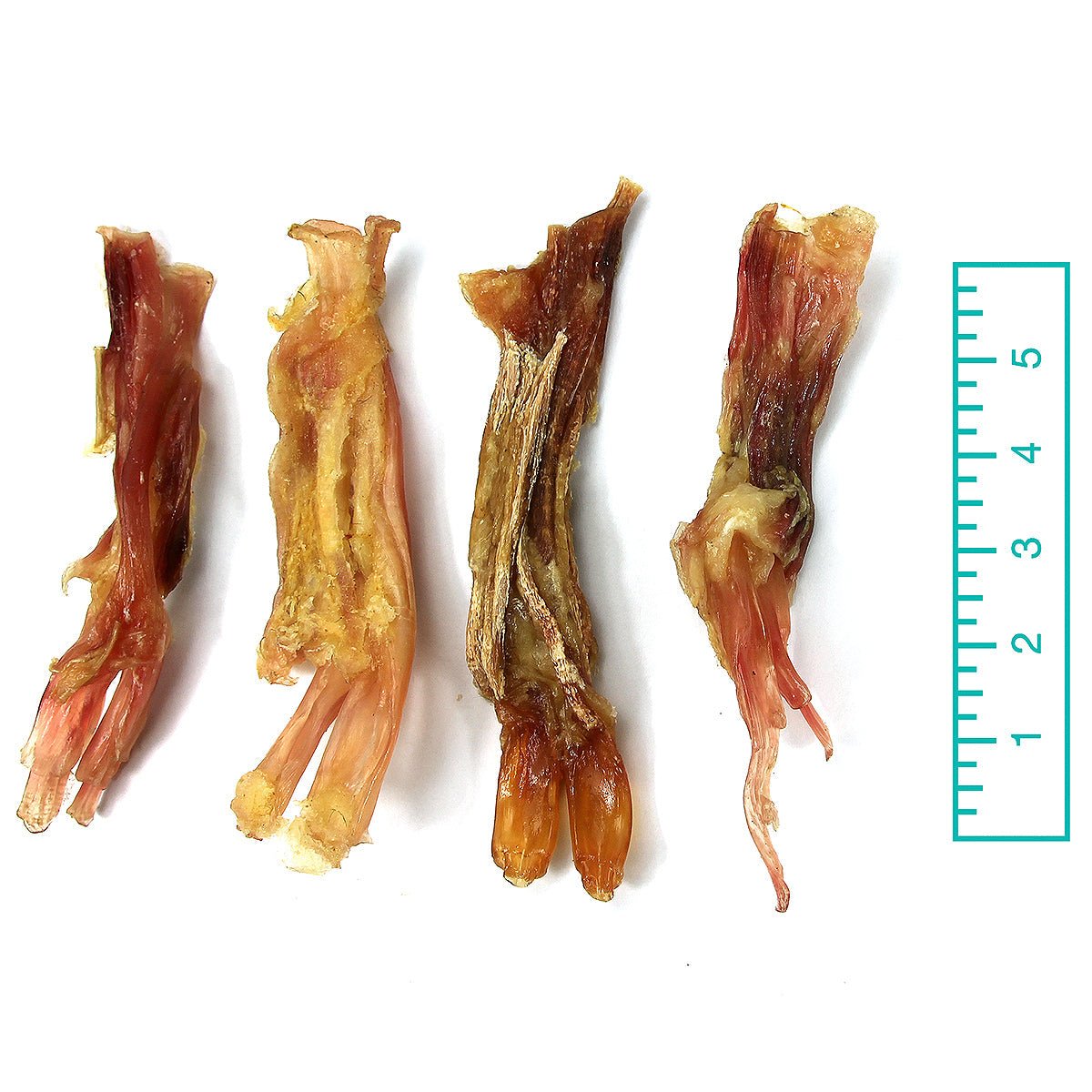 Beef tendon 2024 for dogs