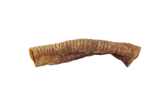 Whole Beef Trachea 10-12 inch