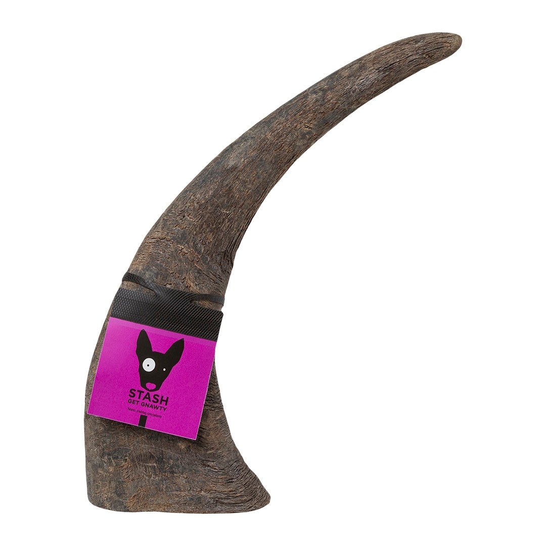 Buba Chews Water Buffalo Horn Longhorn
