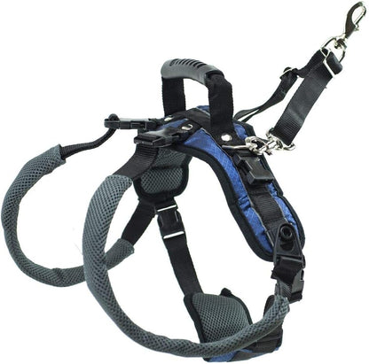Carelift Rear Only Harness - Happy Hounds Pet Supply