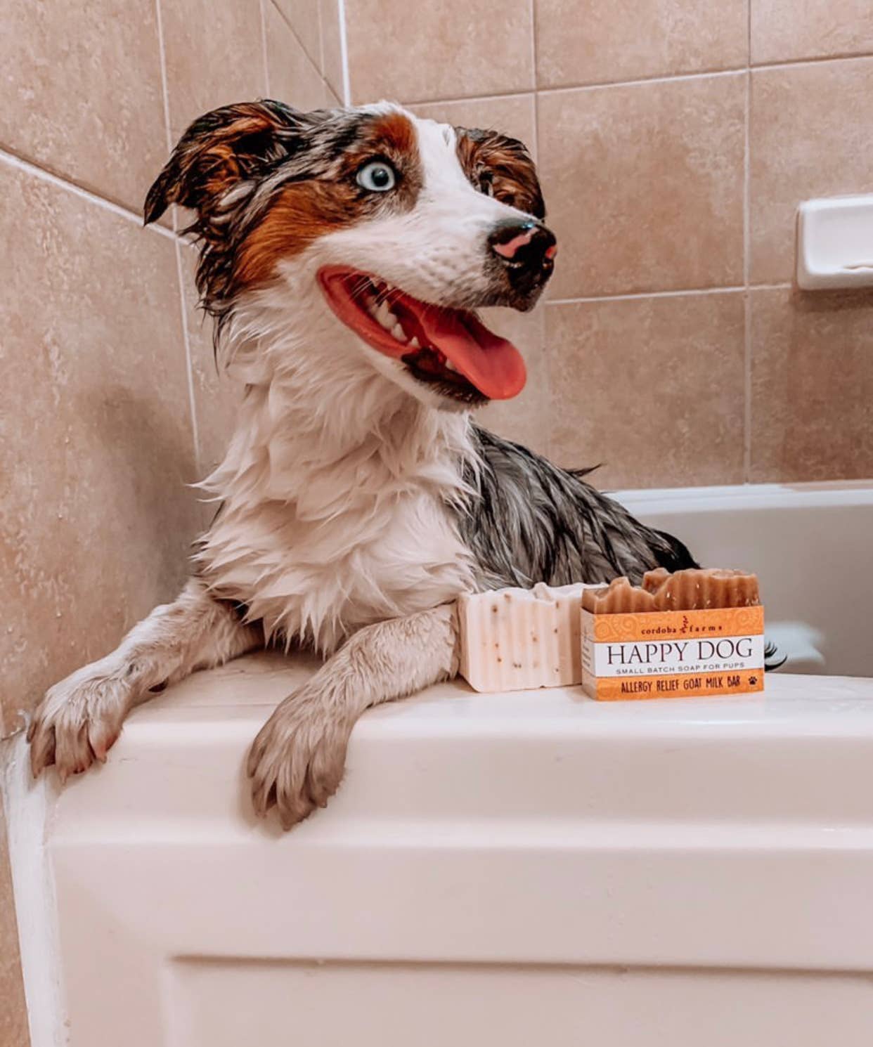 Cordoba Farms Shampoo Bars Happy Dog Allergy Relief