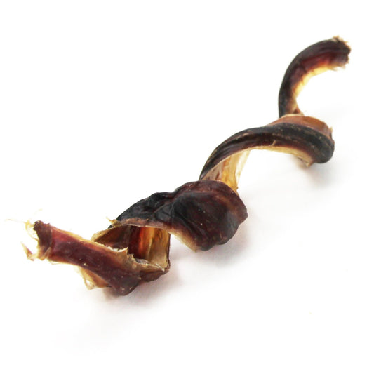 Curly Pork Pizzle - Happy Hounds Pet Supply