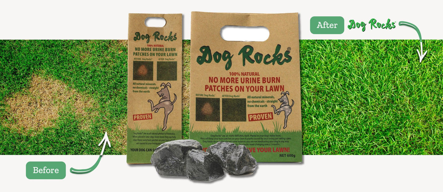 Dog Rocks Lawn Rescue