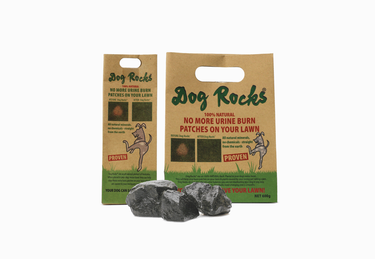 Dog Rocks Lawn Rescue