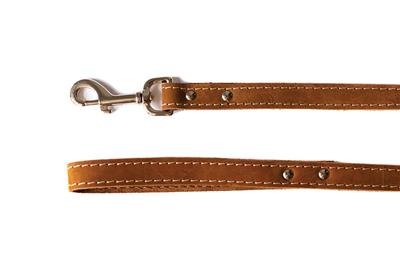 Euro Dog Leather Leashes Bark Brown Traditional Leather