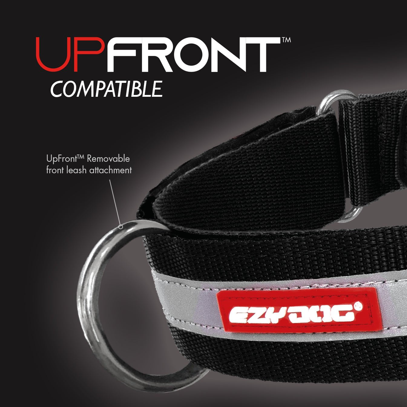 Ezydog express outlet harness