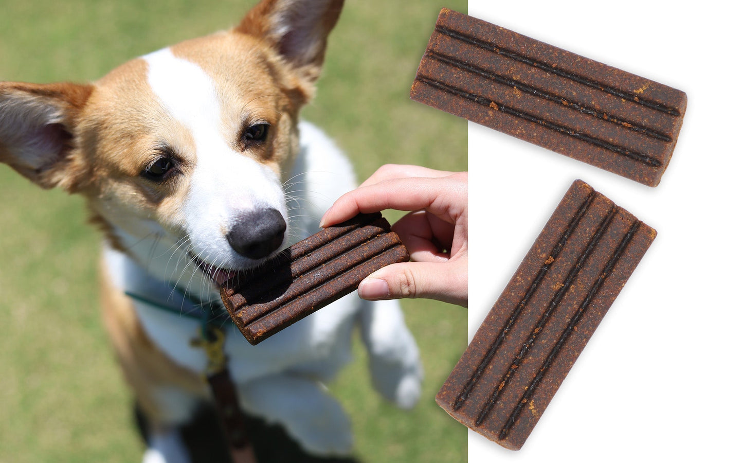 Firm Up - Happy Hounds Pet Supply