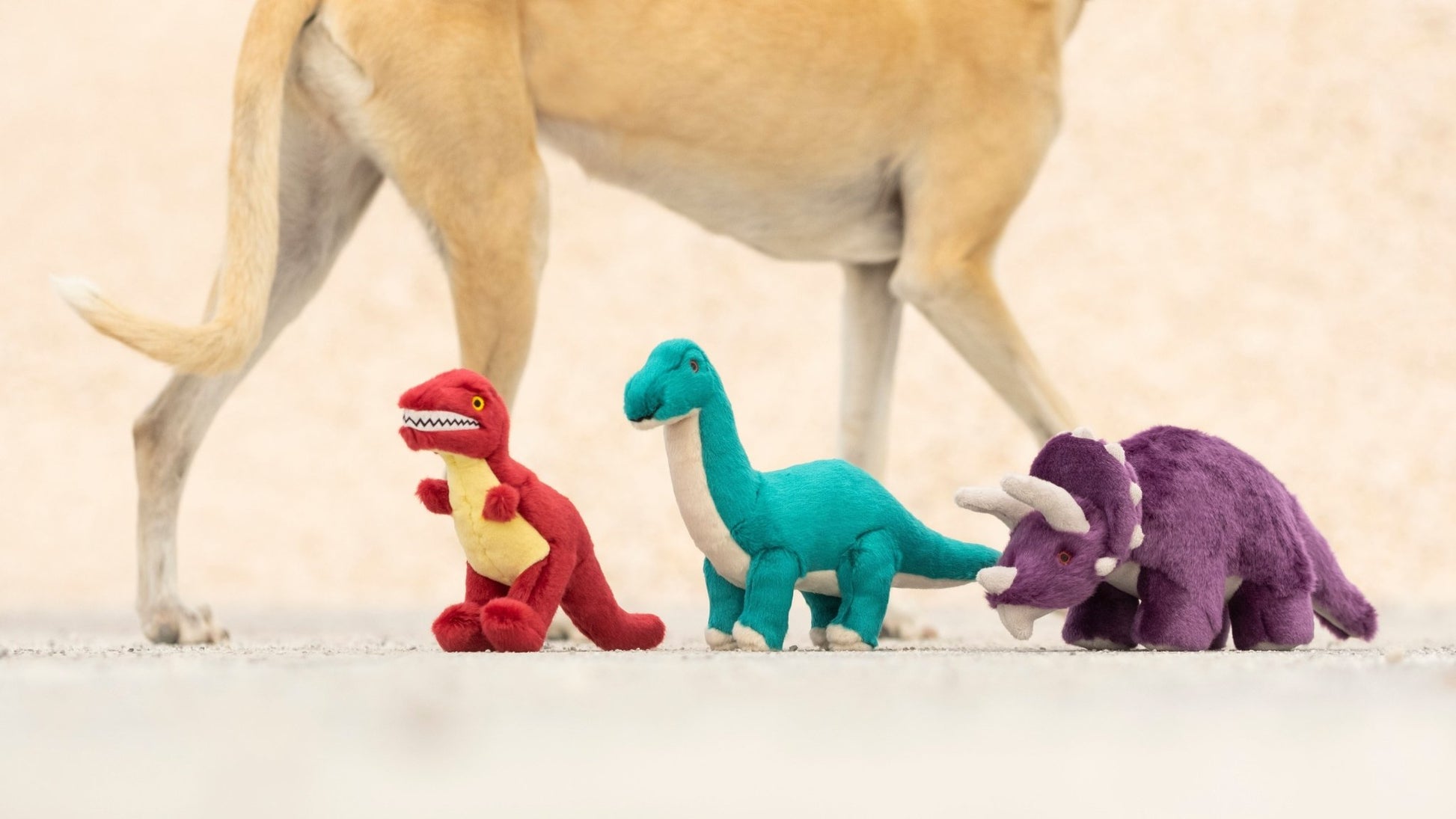 Fluff & Tuff Medium Plush Toys - Happy Hounds Pet Supply
