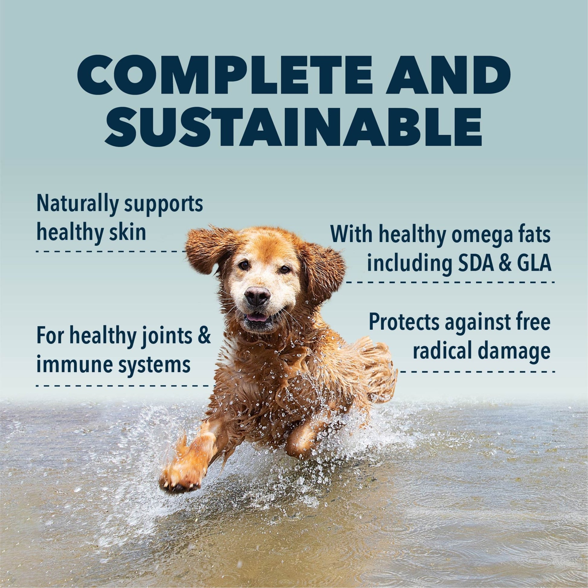 Four Leaf Rover Safe Sea Omega 3s - Happy Hounds Pet Supply