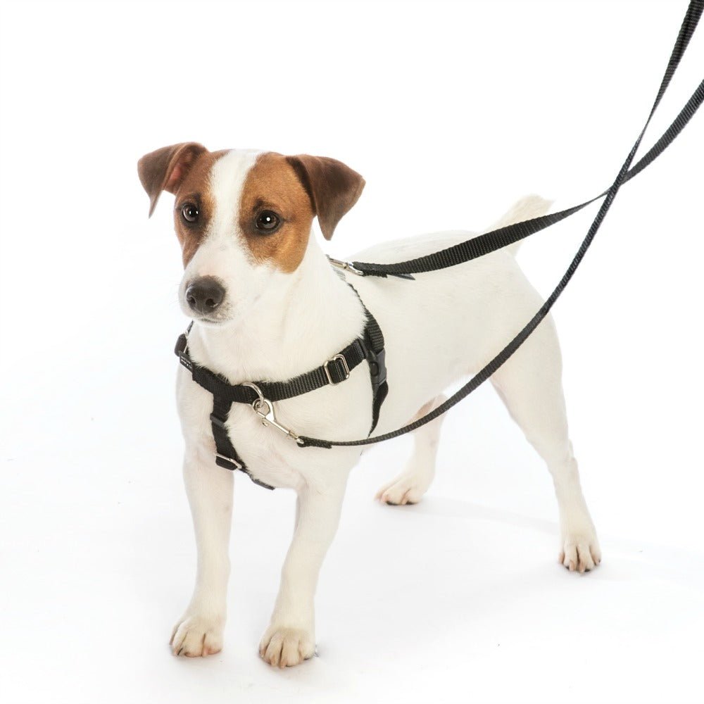 Freedom Deluxe No Pull Harness and Leash Set XS Black