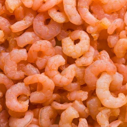 Freeze Dried Shrimp (by ounce)