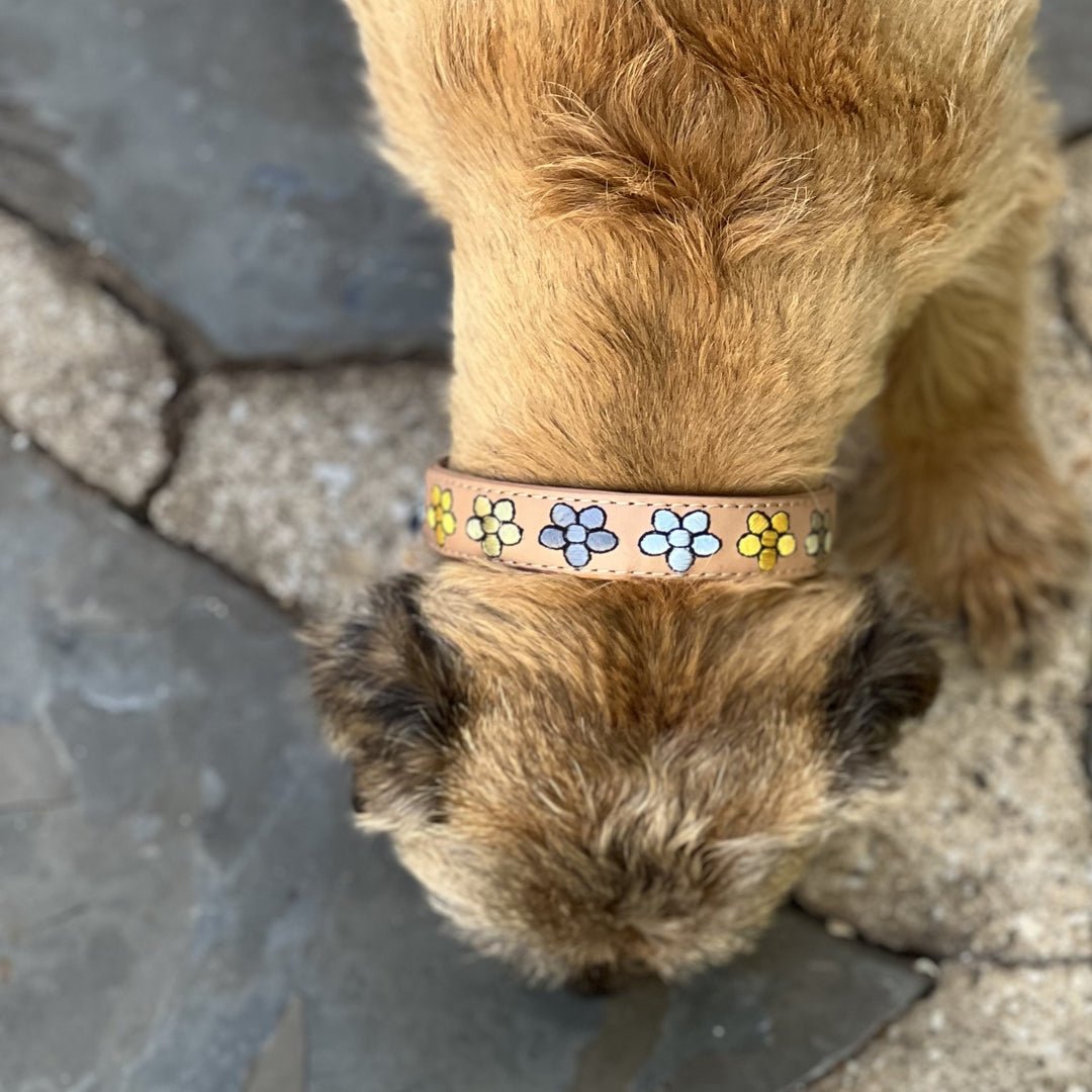 Georgie Paws - Handcrafted Winny Dog Collar