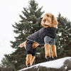 GF Pet Parkas Creekside 2 piece Black