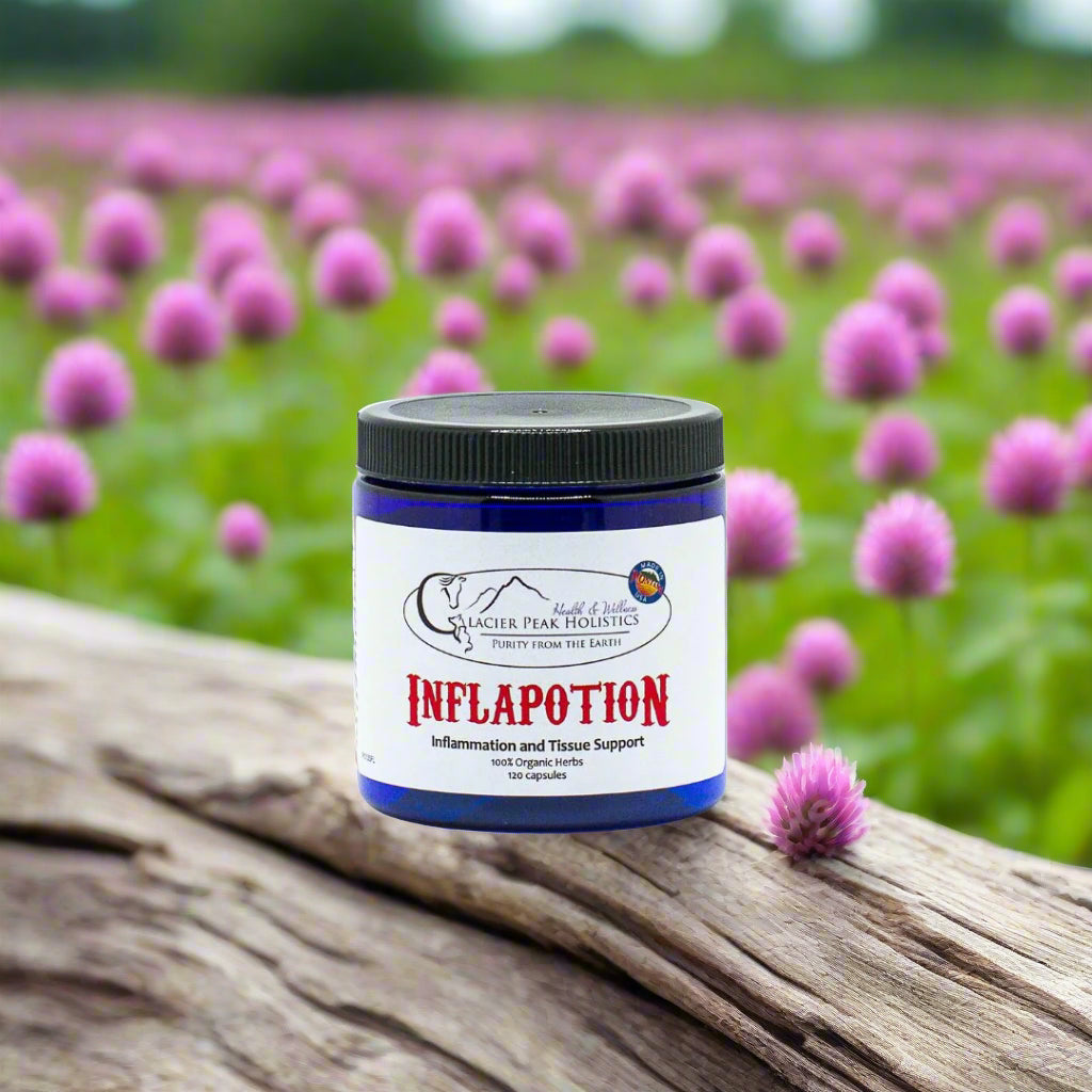 Glacier Peak Holistics Inflapotion 120 Capsules