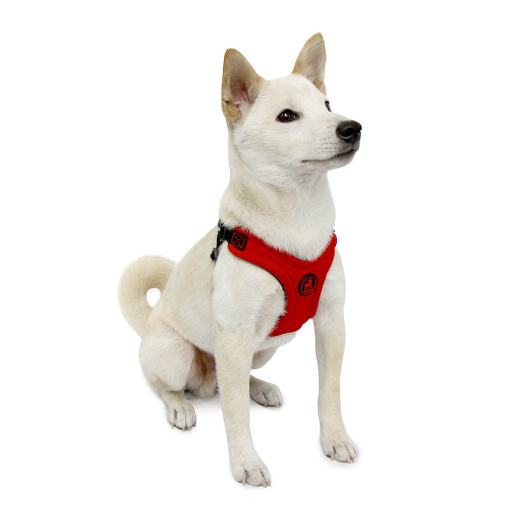 Gooby Escape Free Sport Harness Red