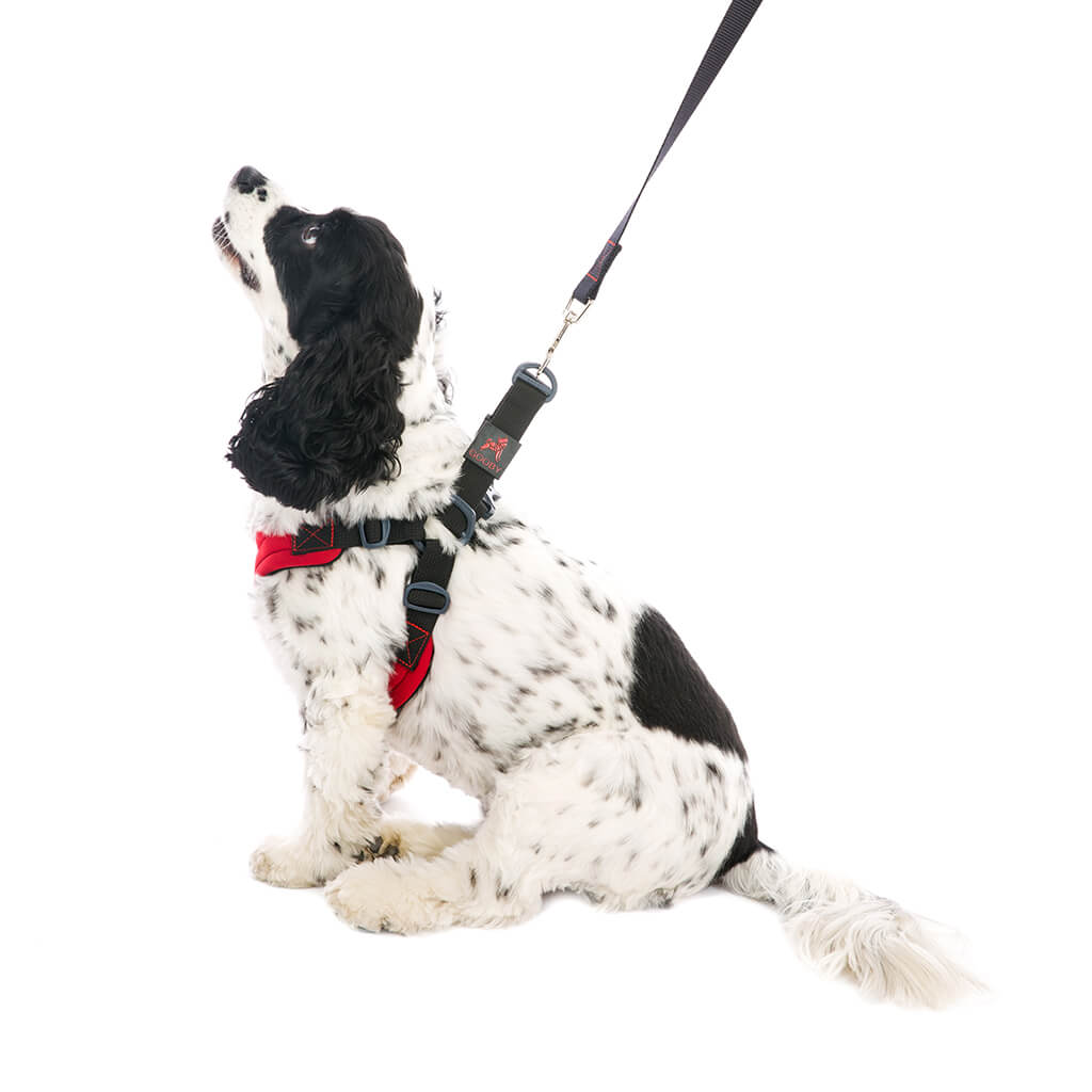 Gooby Escape Free Sport Harness Red