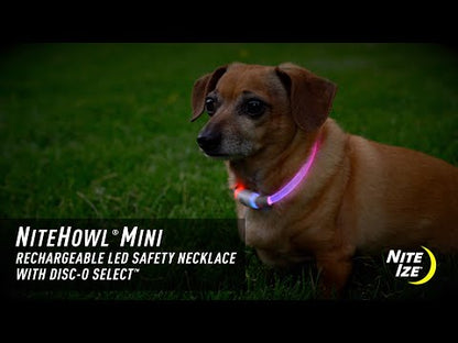 Nite Howl Rechargeable LED Safety Necklace