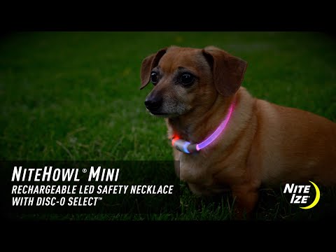 Nite Ize NiteHowl Rechargeable LED Safety Necklace