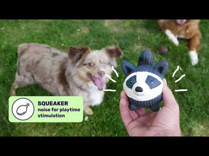 RuffTex Durable Dog Toys