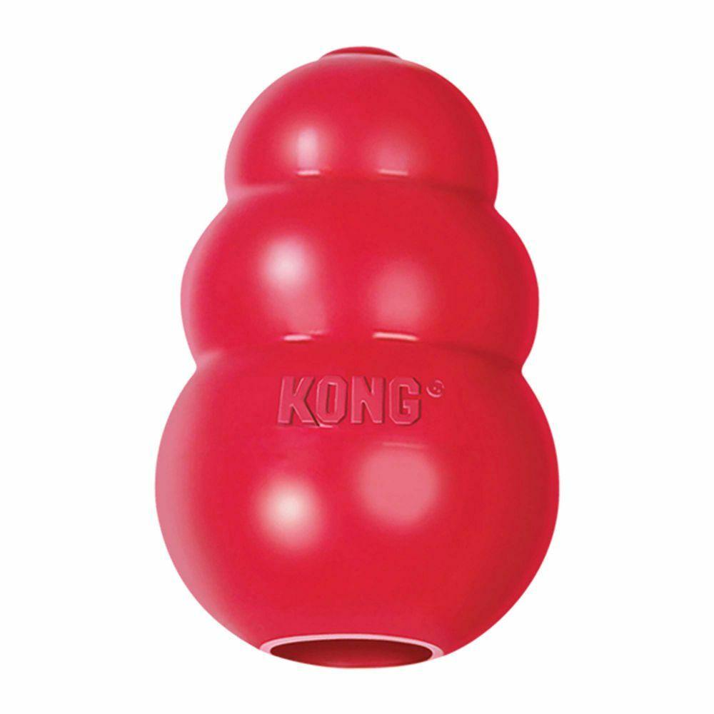 Kong Classic Chew Toy