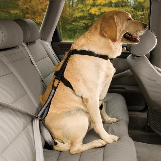 Kurgo Seat Belt Tethers Seat Belt Loop
