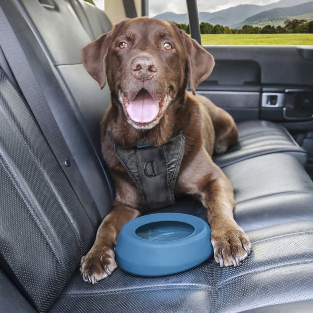 Kurgo Splash Free Wander Blue Dog Water Bowl - Happy Hounds Pet Supply